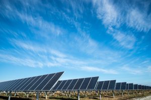 Solar panels - a clean energy source - pictured in a field with blue sky above. 