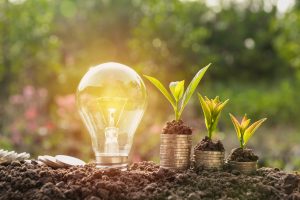 Energy saving light bulb and tree growing on stacks of coins on nature background.