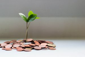 Sustainable growth - tree growing out of a pile of coins